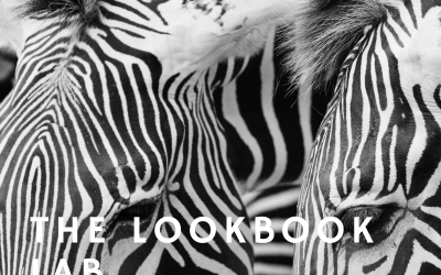 LAB: THE LOOKBOOK LAB
